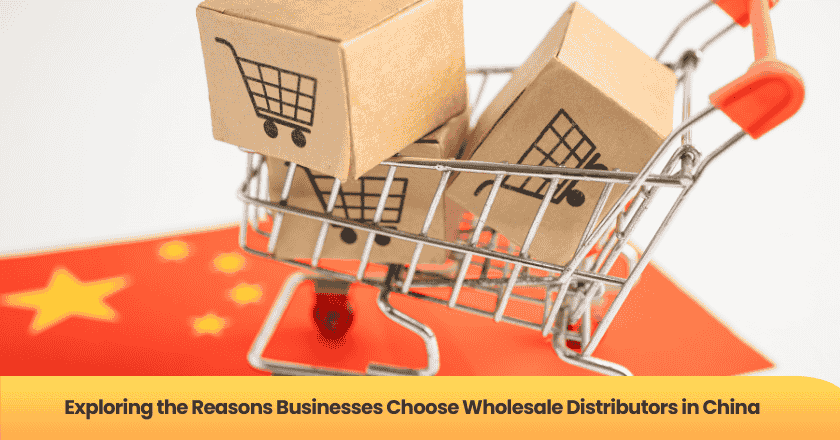 Exploring the Reasons Businesses Choose Wholesale Distributors in China